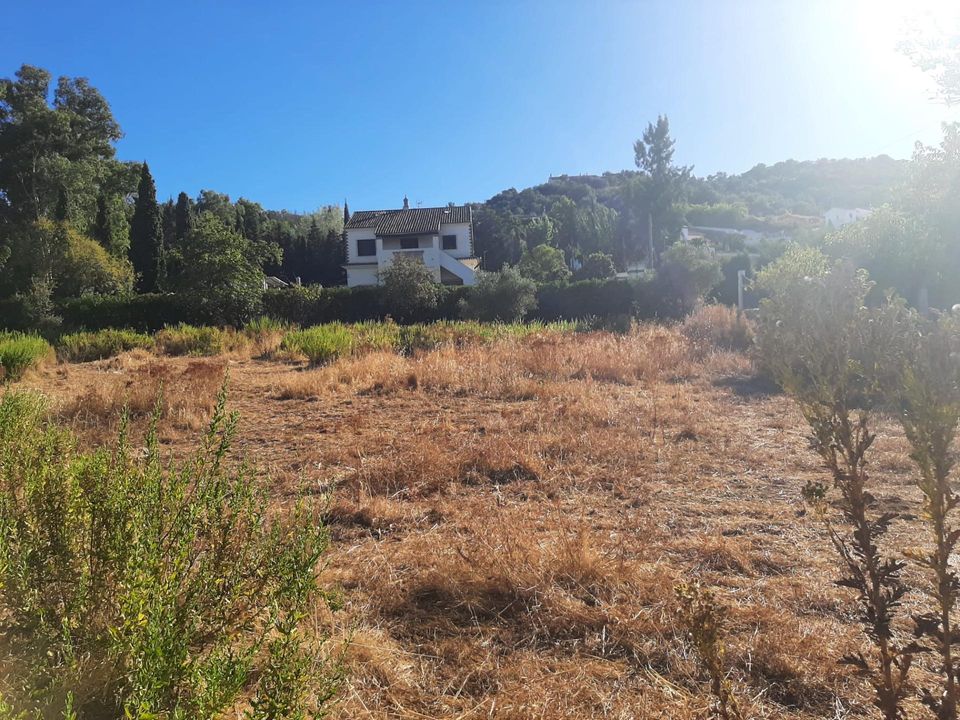 Helårsgrund i Cazalla De La Sierra, Sevilla - foto 3