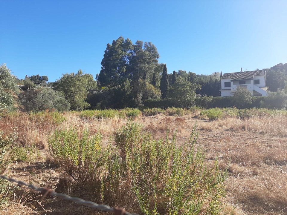 Helårsgrund i Cazalla De La Sierra, Sevilla - foto 4
