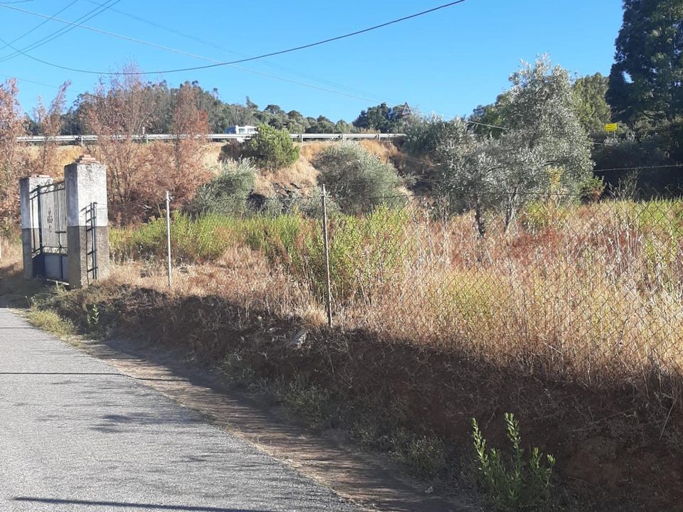 Helårsgrund i Cazalla De La Sierra, Sevilla - foto 5