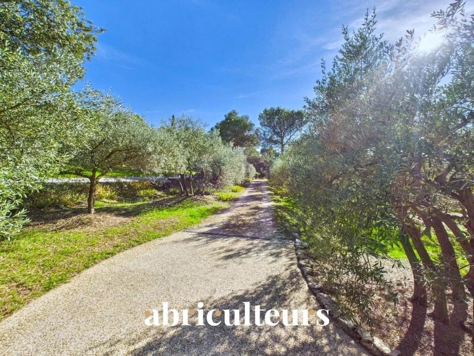 Villa i Cheval-Blanc, Vaucluse - foto 4