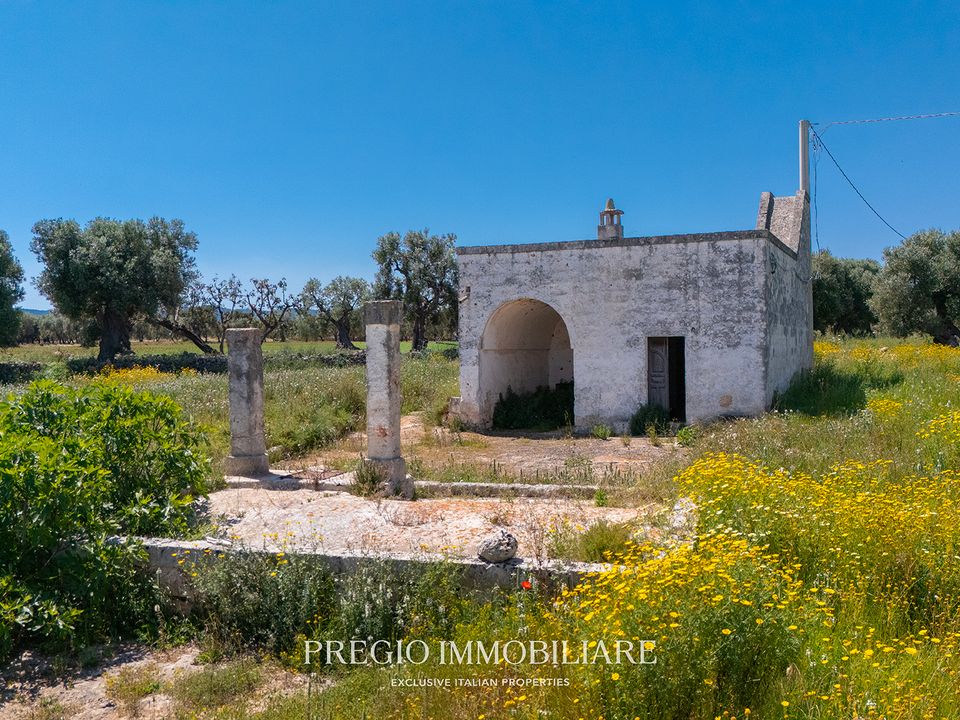 Farm hus i Fasano, Brindisi - foto 5