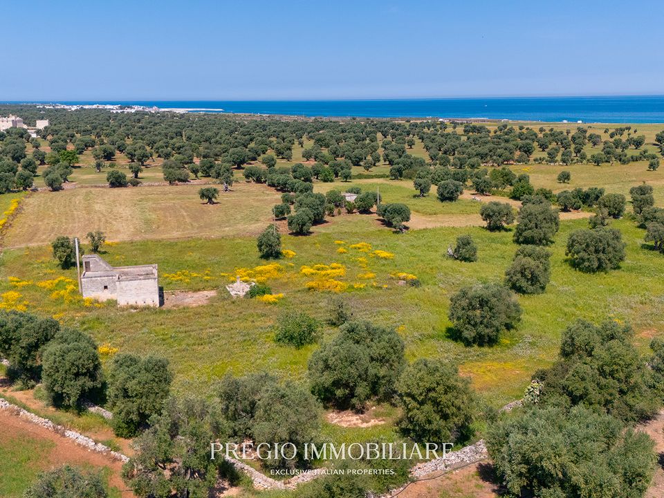 Farm hus i Fasano, Brindisi - foto 2