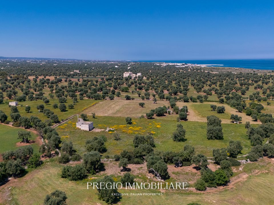 Farm hus i Fasano, Brindisi - foto 3