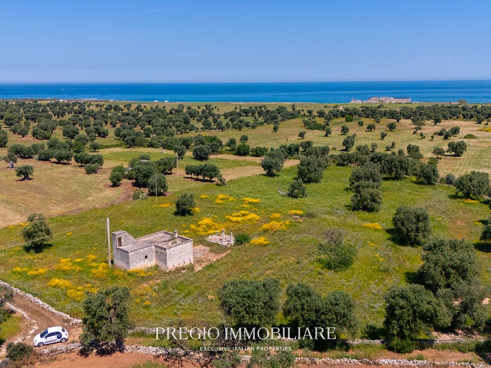 Farm hus i Fasano, Brindisi - foto 1