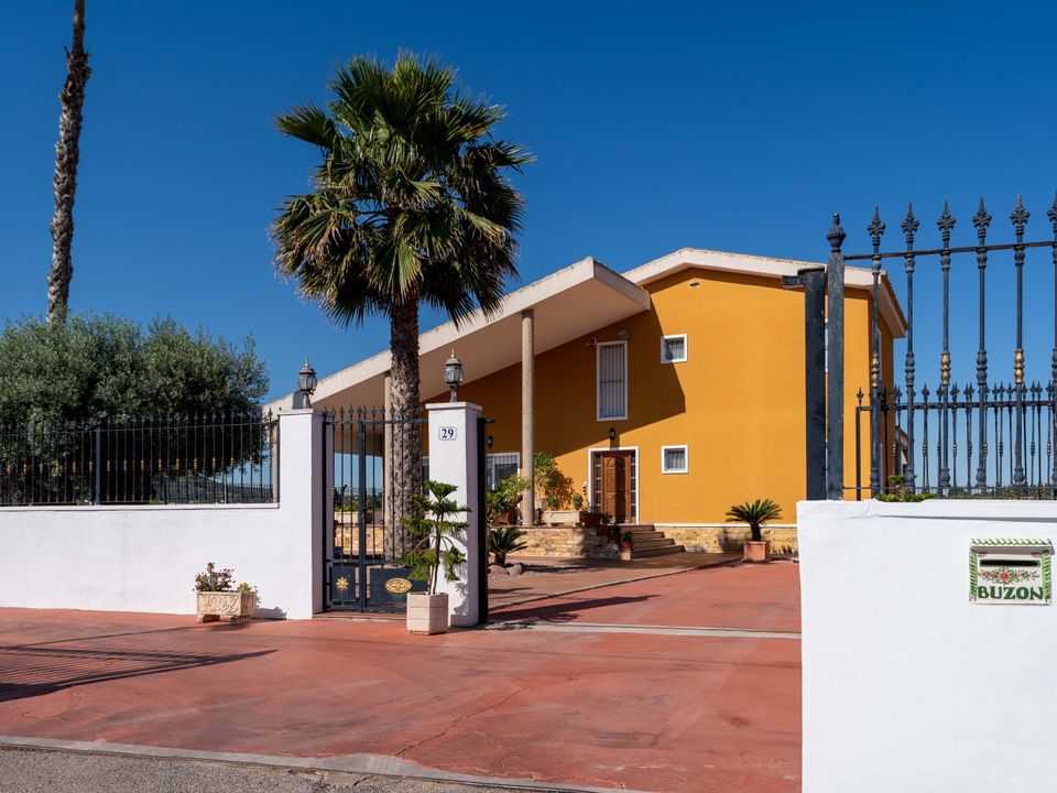 Finca i Orihuela, Alicante - foto 5