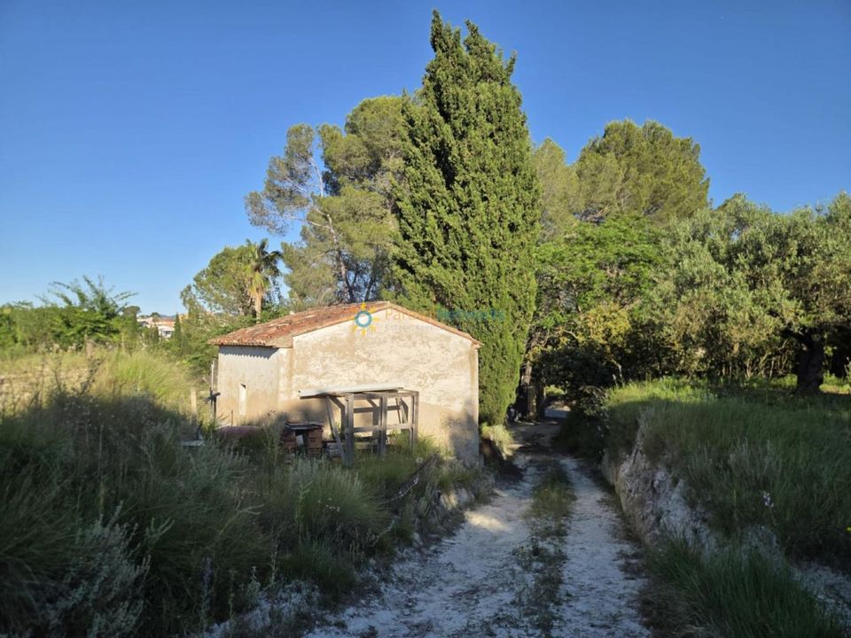 Helårsgrund i Belgida, Valencia - foto 5
