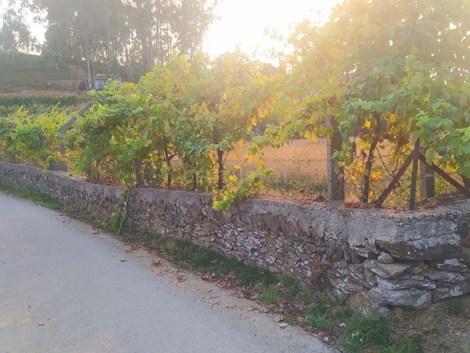 Helårsgrund i Arouca, Aveiro - foto 2