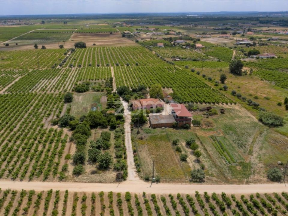 Landejendom i Palmela, Setubal - foto 4