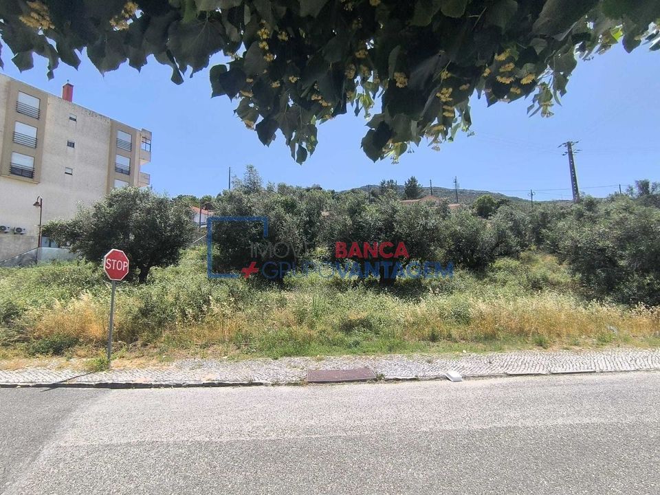 Helårsgrund i Alcanena, Santarem - foto 3