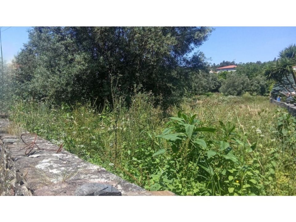 Helårsgrund i Viana do Castelo, Viana do Castelo - foto 3
