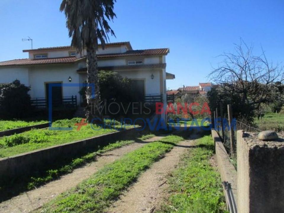 Villa i Proenca-a-Nova, Castelo Branco - bilde 3