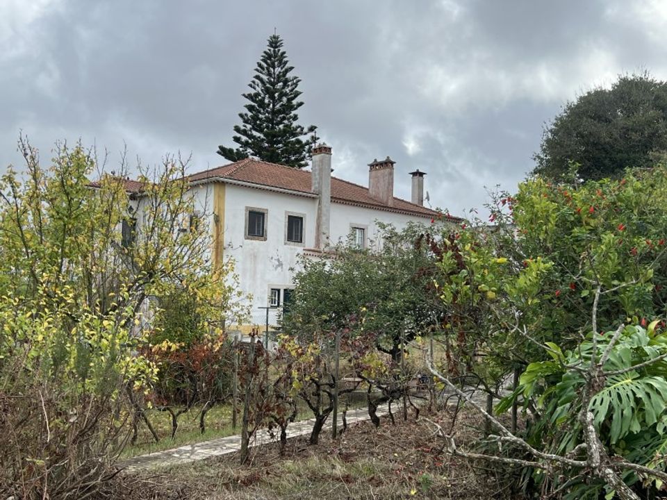 Farm i Dois Portos, Lisbon - foto 2