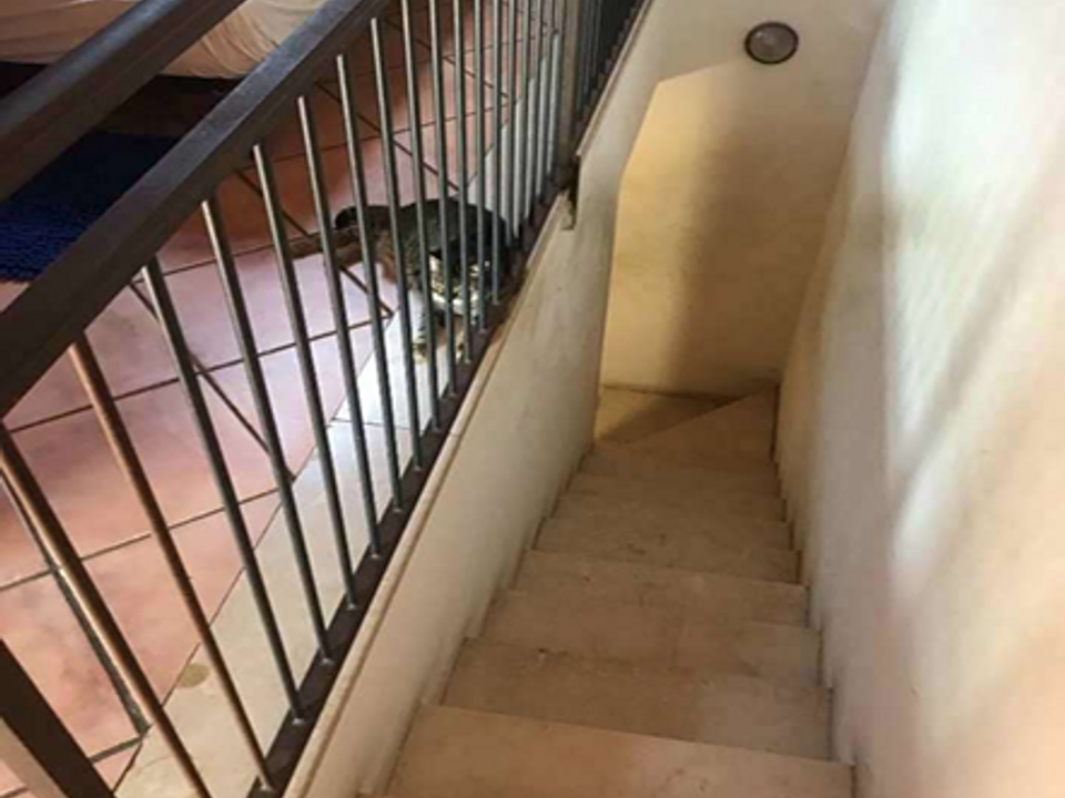 Rækkehus i San Giovanni Lupatoto, Verona - foto 5