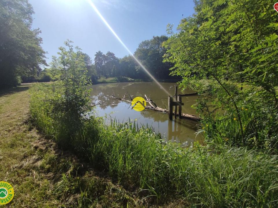 Helårsgrund i Vailly-sur-Sauldre, Cher - foto 1