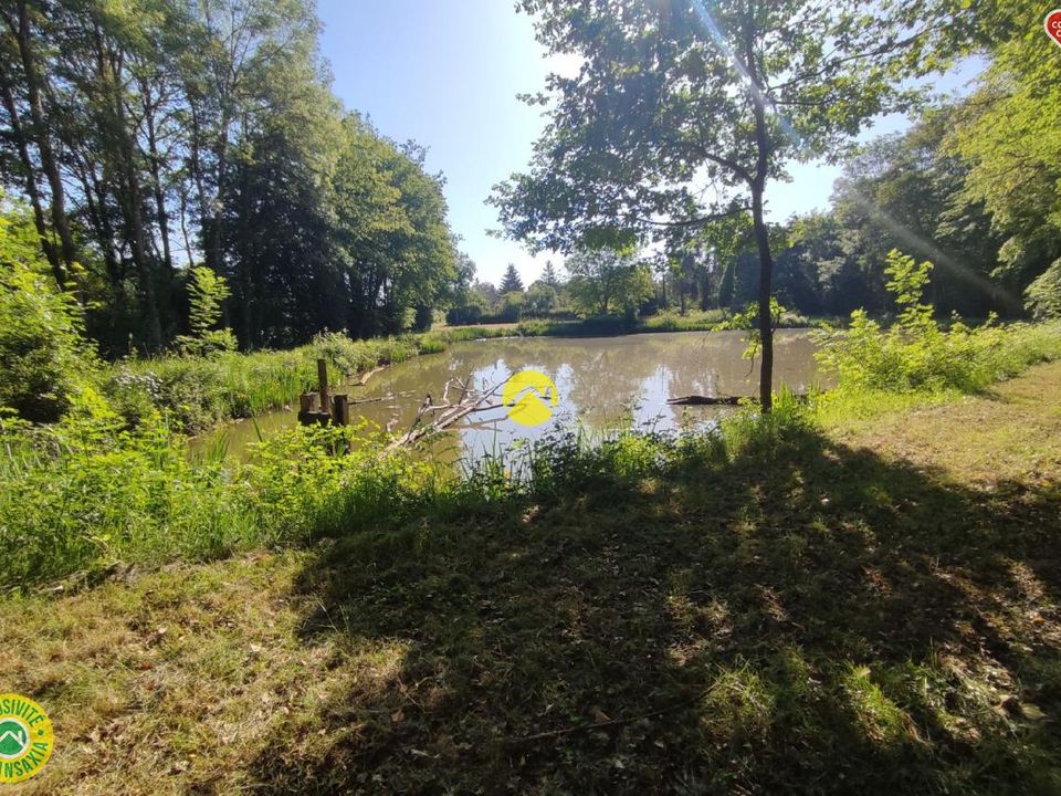 Helårsgrund i Vailly-sur-Sauldre, Cher - foto 2