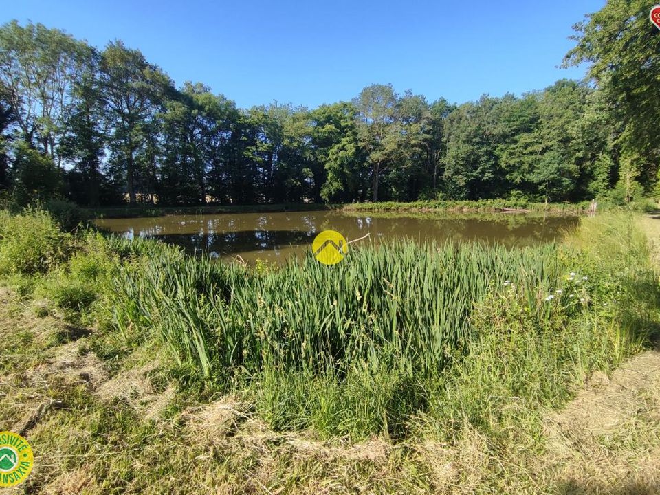 Helårsgrund i Vailly-sur-Sauldre, Cher - foto 3