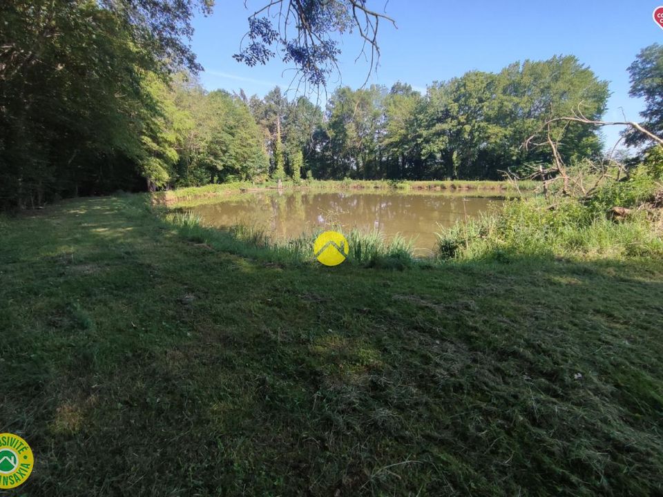 Helårsgrund i Vailly-sur-Sauldre, Cher - foto 4