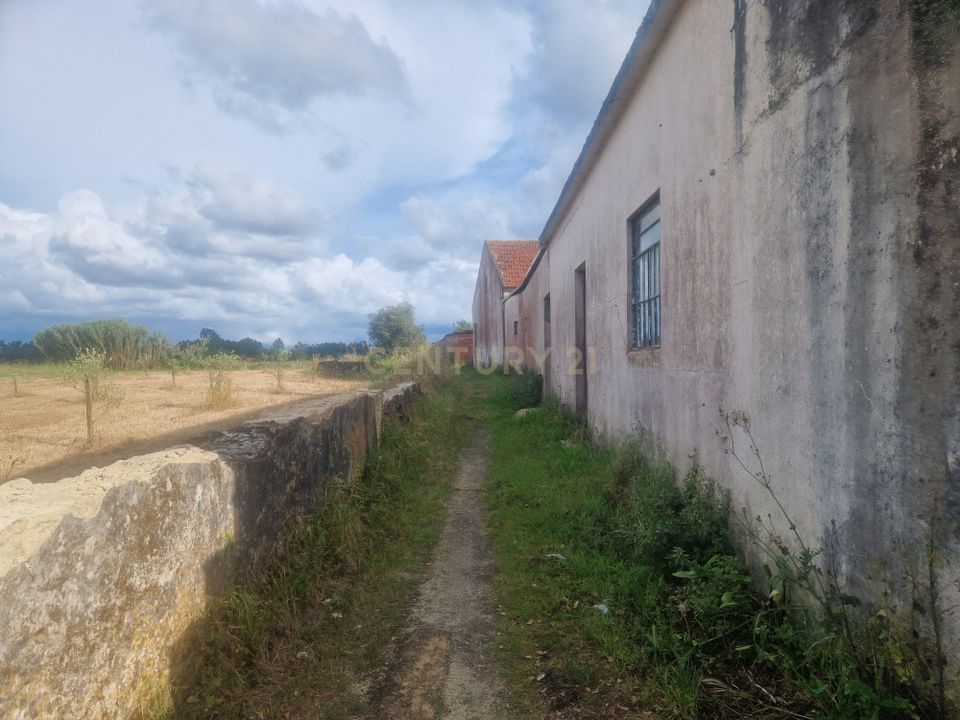 Helårsgrund i Ponte de Vagos e Santa Catarina, Aveiro - foto 3