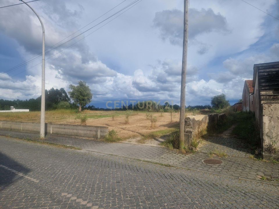 Helårsgrund i Ponte de Vagos e Santa Catarina, Aveiro - foto 4