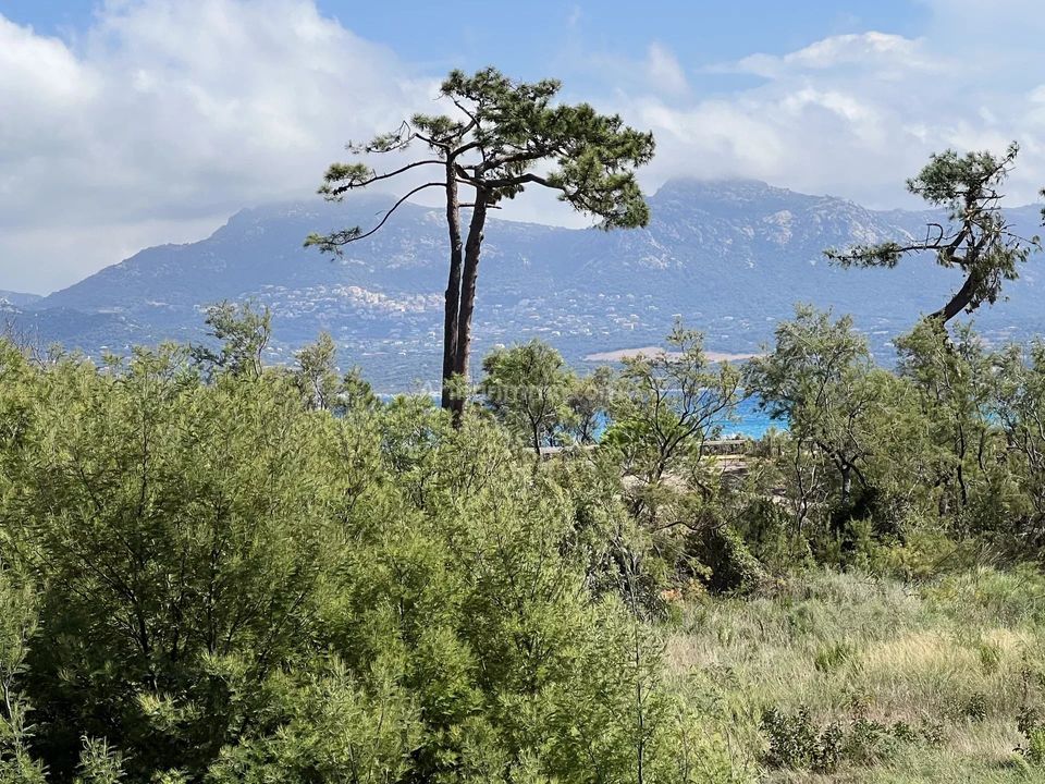 Lejlighed i Calvi, Haute-Corse - foto 2