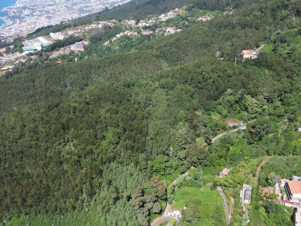 Helårsgrund i Santa Cruz, Madeira - foto 1