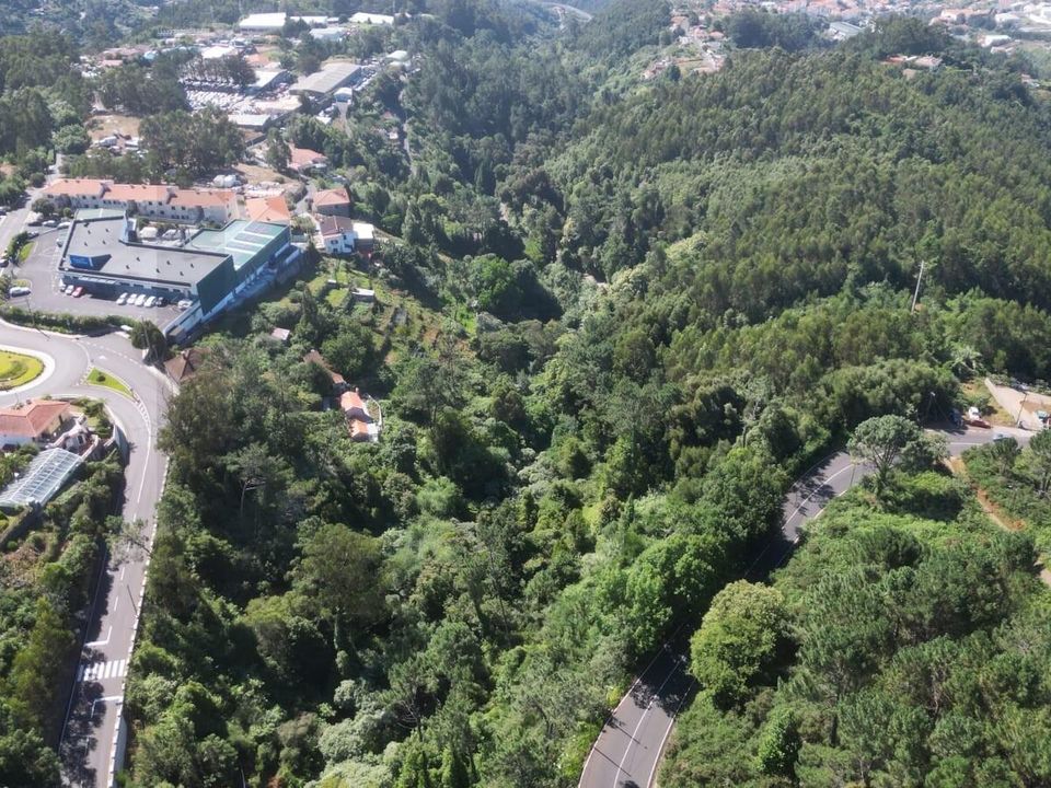 Helårsgrund i Santa Cruz, Madeira - foto 2