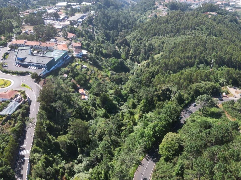 Helårsgrund i Santa Cruz, Madeira - foto 3