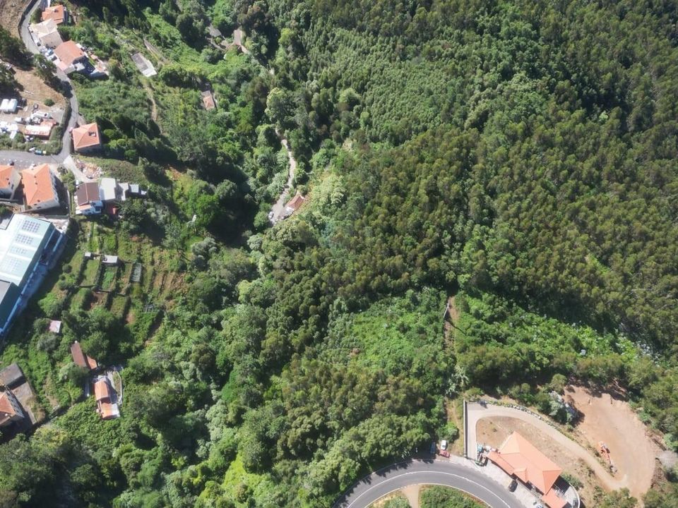 Helårsgrund i Santa Cruz, Madeira - foto 5