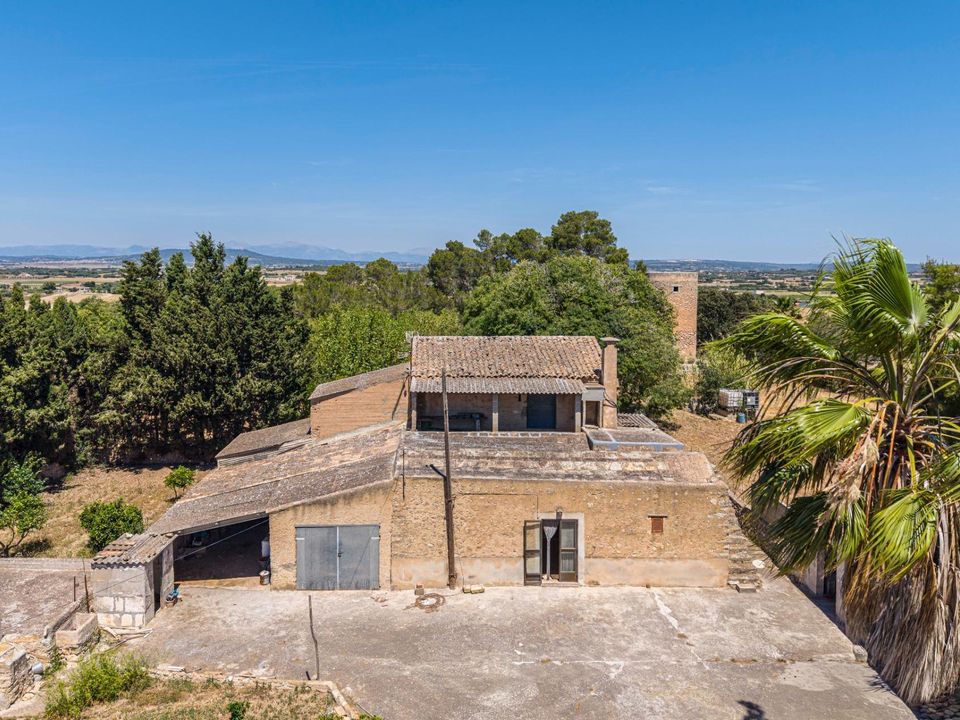 Landejendom i Manacor, Mallorca - foto 5