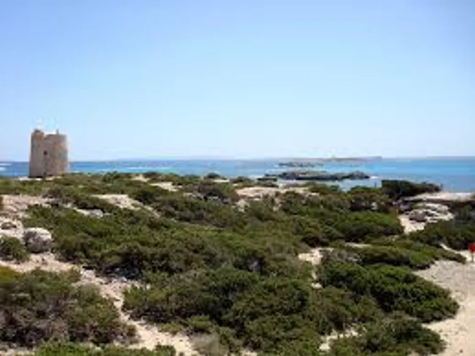 Helårsgrund i Sant Josep de sa Talaia, Ibiza - foto 2