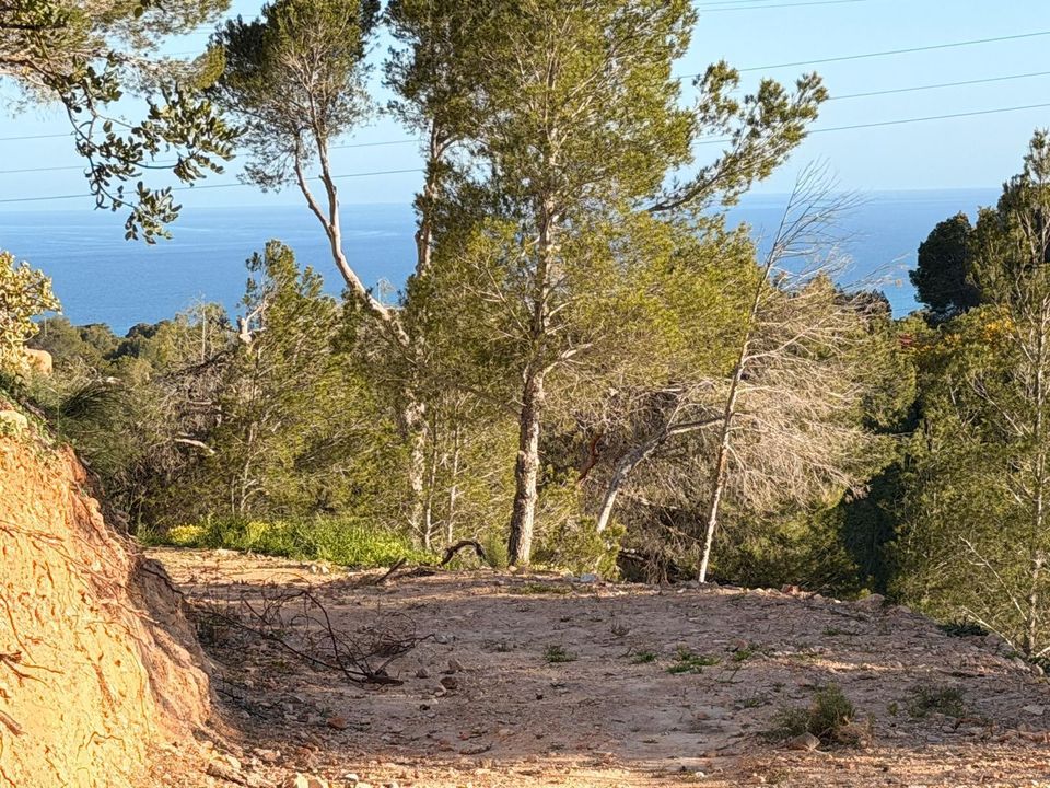 Helårsgrund i Altea, Alicante - foto 3