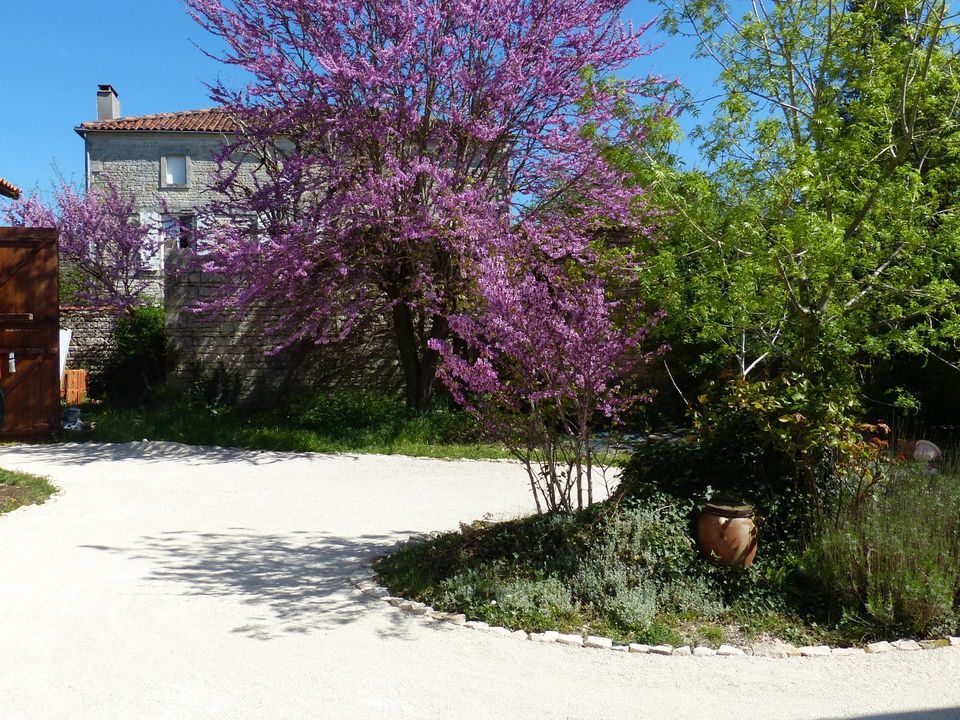Landsbyhus i Courcome, Charente - bilde 2