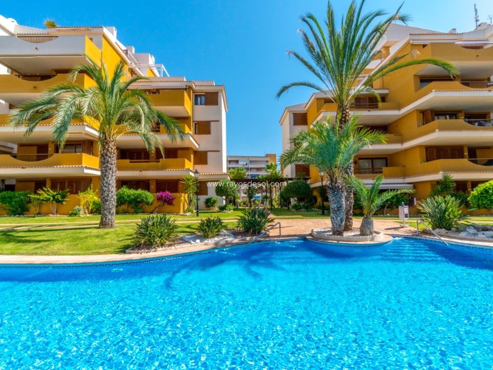Lejlighed i Torrevieja, Alicante - foto 5