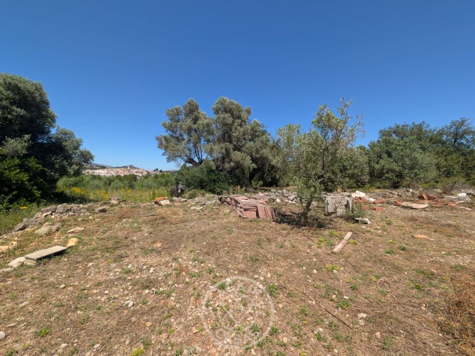 Helårsgrund i Parcent, Alicante - foto 3