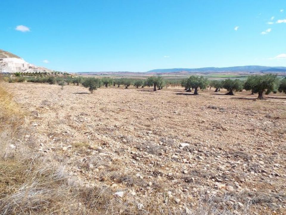 Helårsgrund i Caudete, Albacete - foto 2