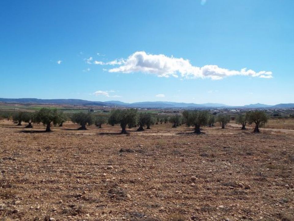 Helårsgrund i Caudete, Albacete - foto 4