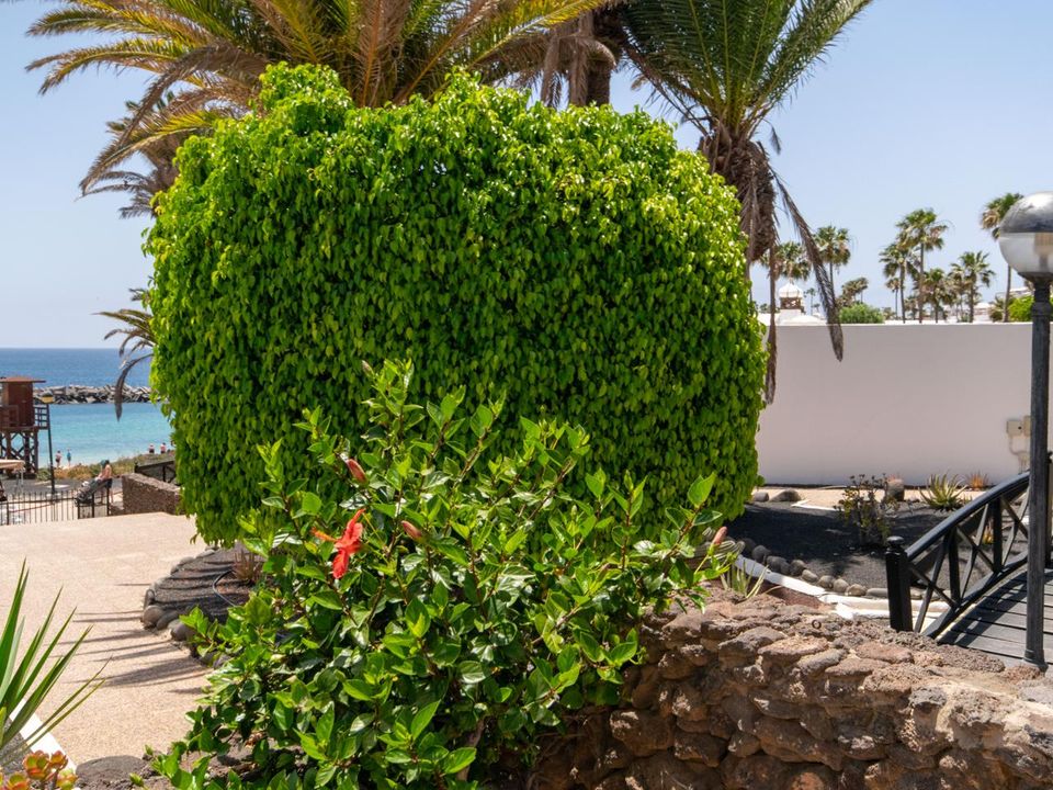 Rækkehus i Playa Blanca (Yaiza), Lanzarote - foto 3