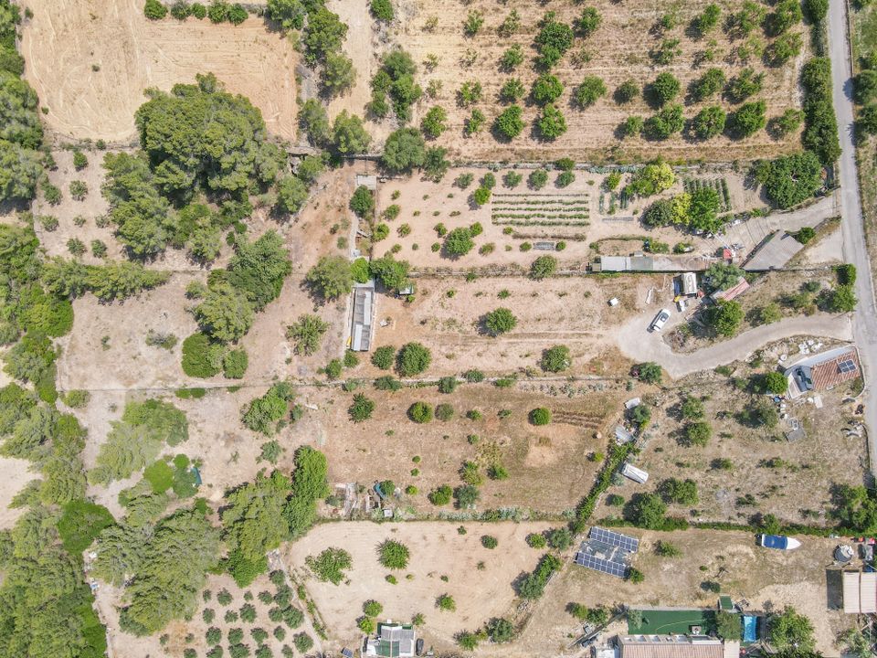 Helårsgrund i Calvia, Mallorca - foto 3