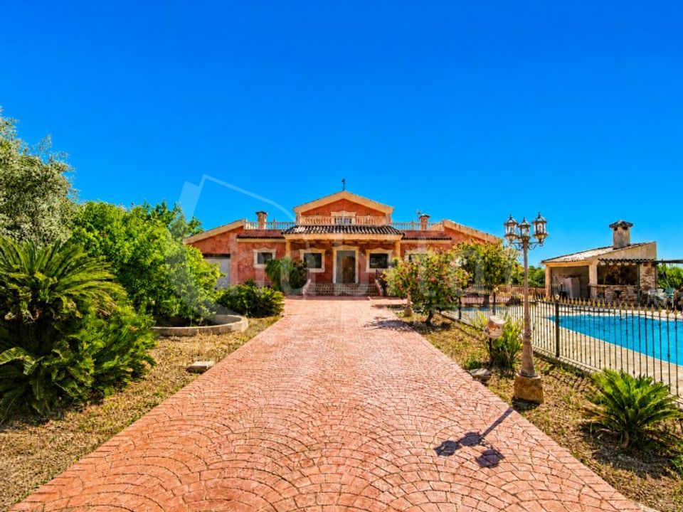 Farm i Orihuela, Alicante - foto 2