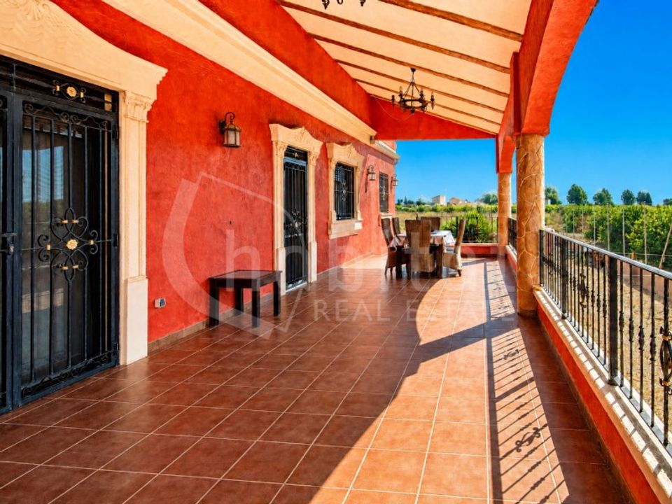 Farm i Orihuela, Alicante - foto 4