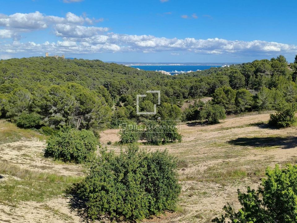 Villa i Palma De Mallorca, Mallorca - foto 4