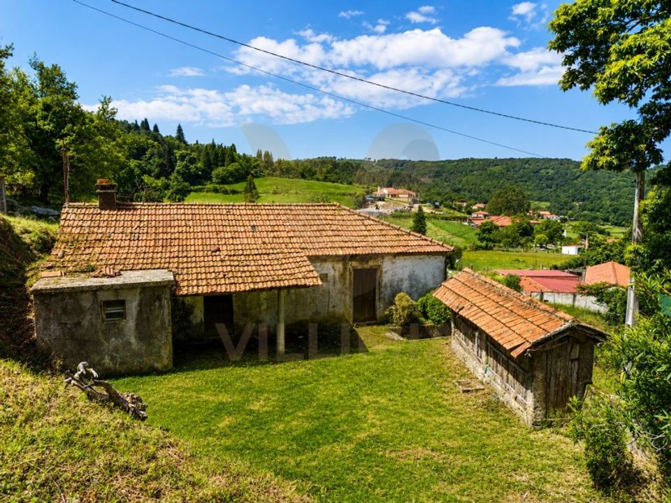 Ruinere i Bico e Cristelo, Viana do Castelo - foto 4