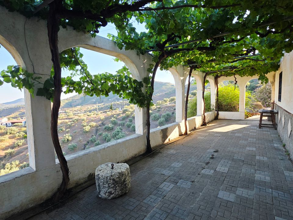 Finca i Canillas De Albaida, Malaga - foto 3