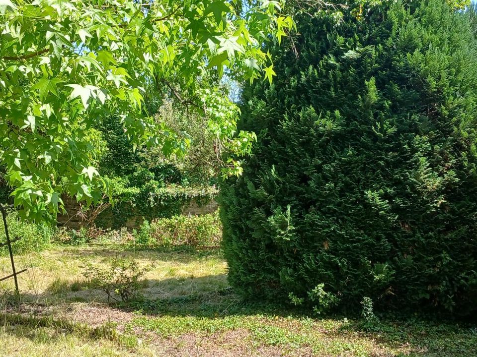 Villa i Luxeuil-les-Bains, Haute-Saone - foto 5