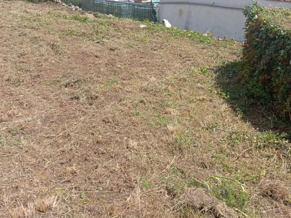 Helårsgrund i Ansiao, Leiria - foto 2