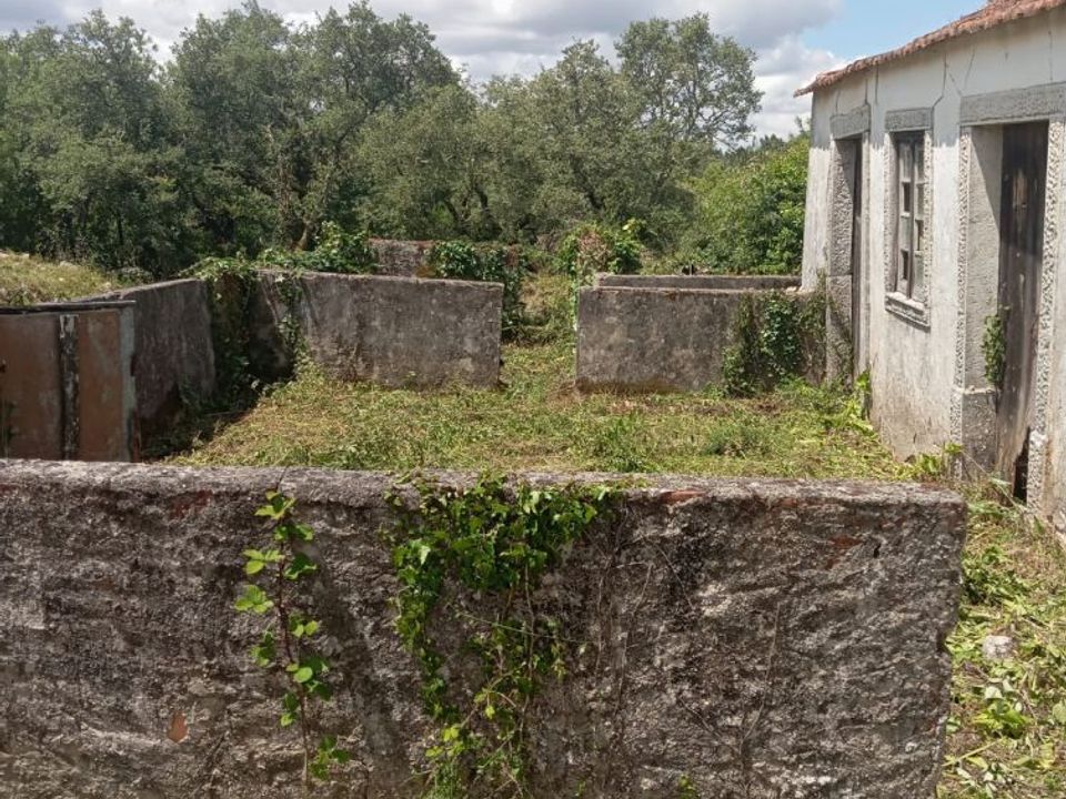 Helårsgrund i Ansiao, Leiria - foto 4