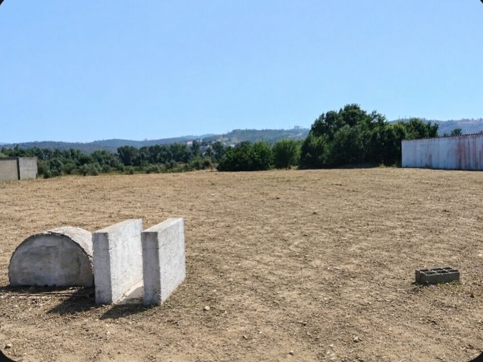 Terra a Freixianda, Santarem - foto 3