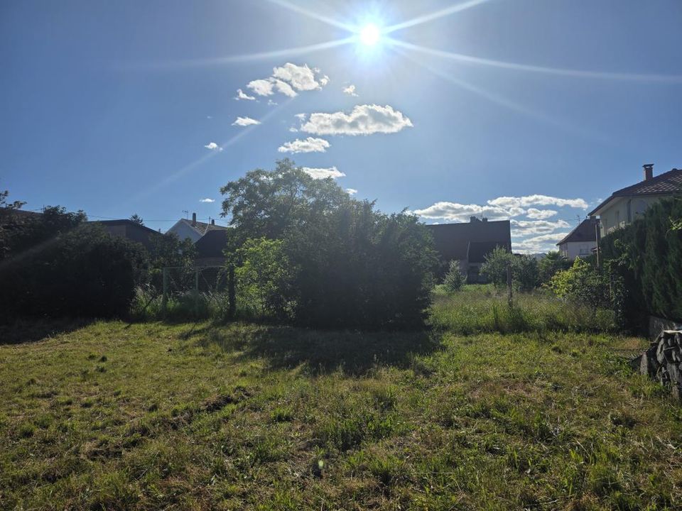 Villa i Wittelsheim, Haut-Rhin - foto 2