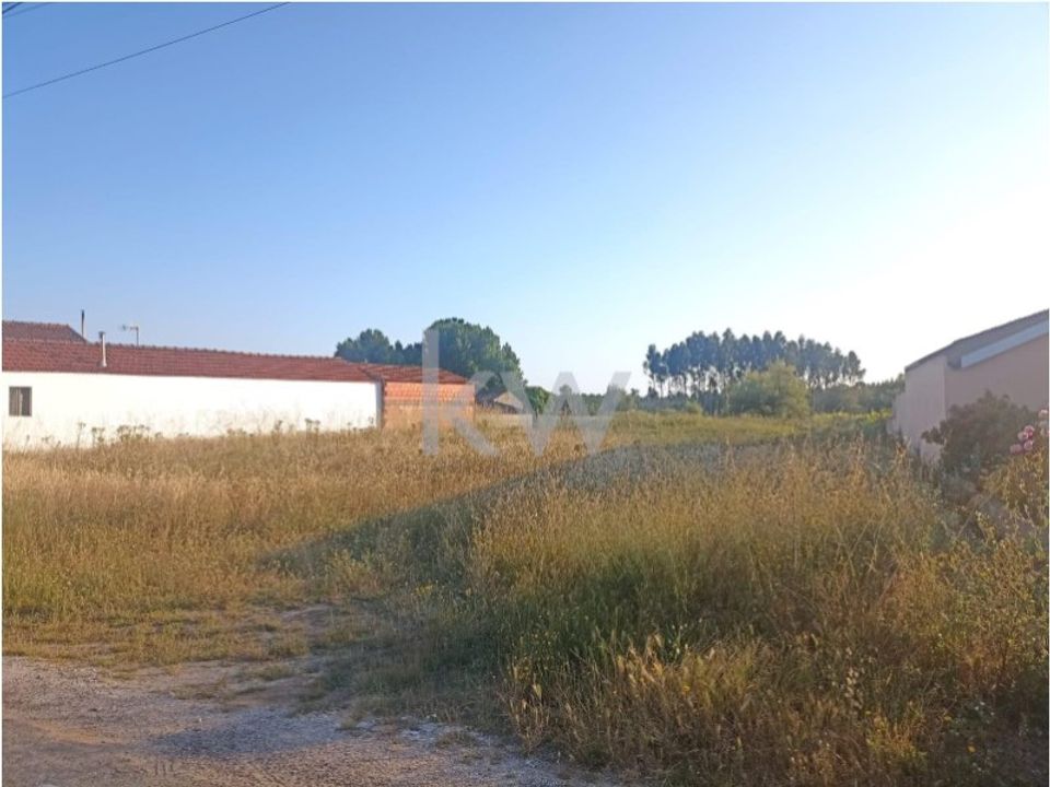 Helårsgrund i Mira, Coimbra - foto 1