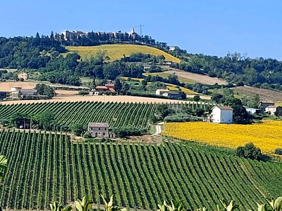 Villa a Monte Rinaldo, Fermo - foto 5